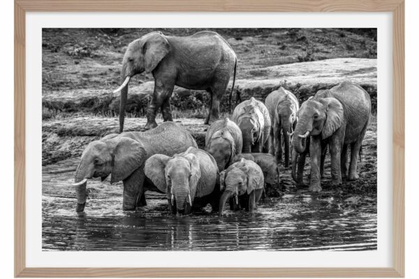 family bath. Masai Mara. Kenya