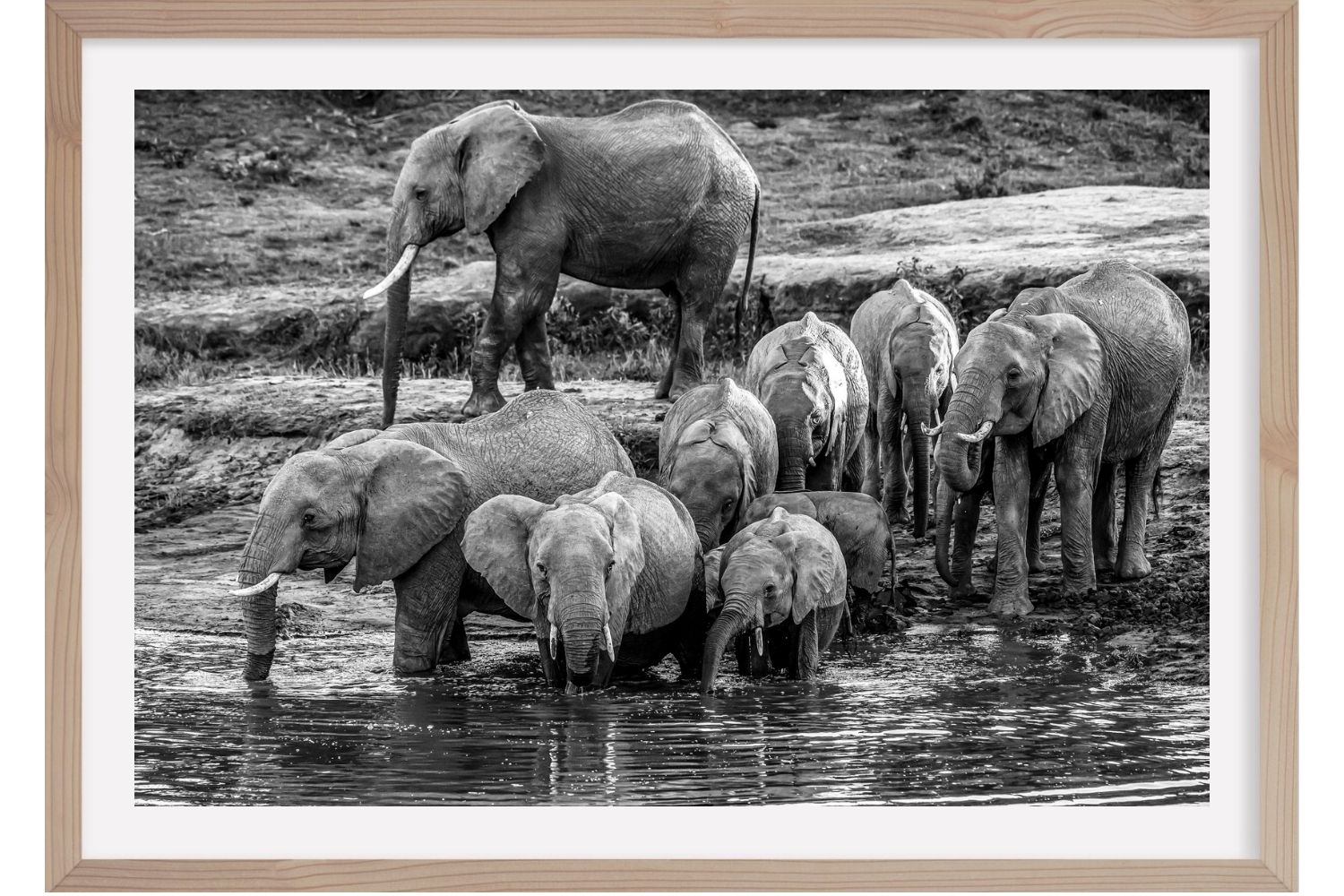 family bath. Masai Mara. Kenya