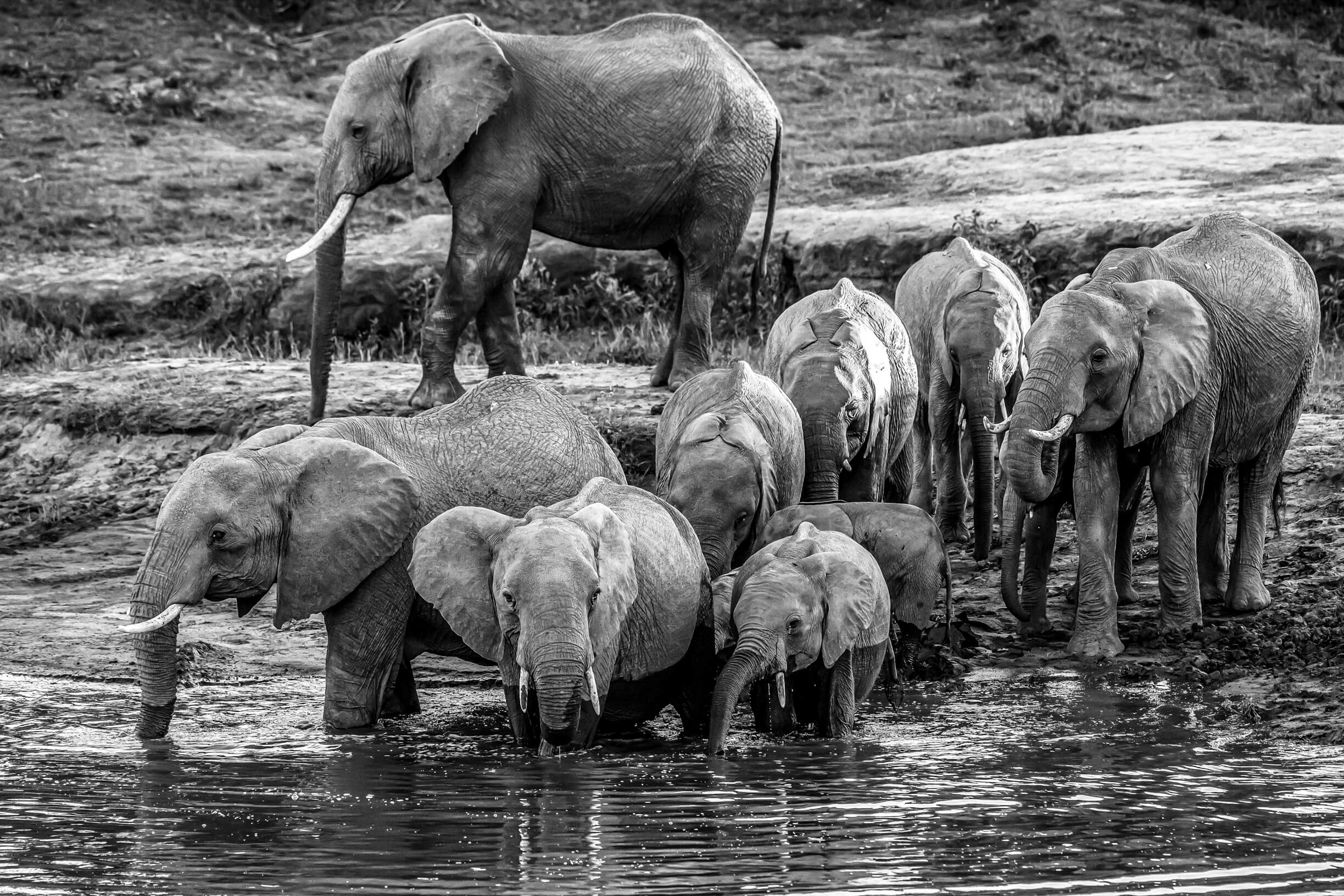 family bath. Masai Mara. Kenya – Image 2