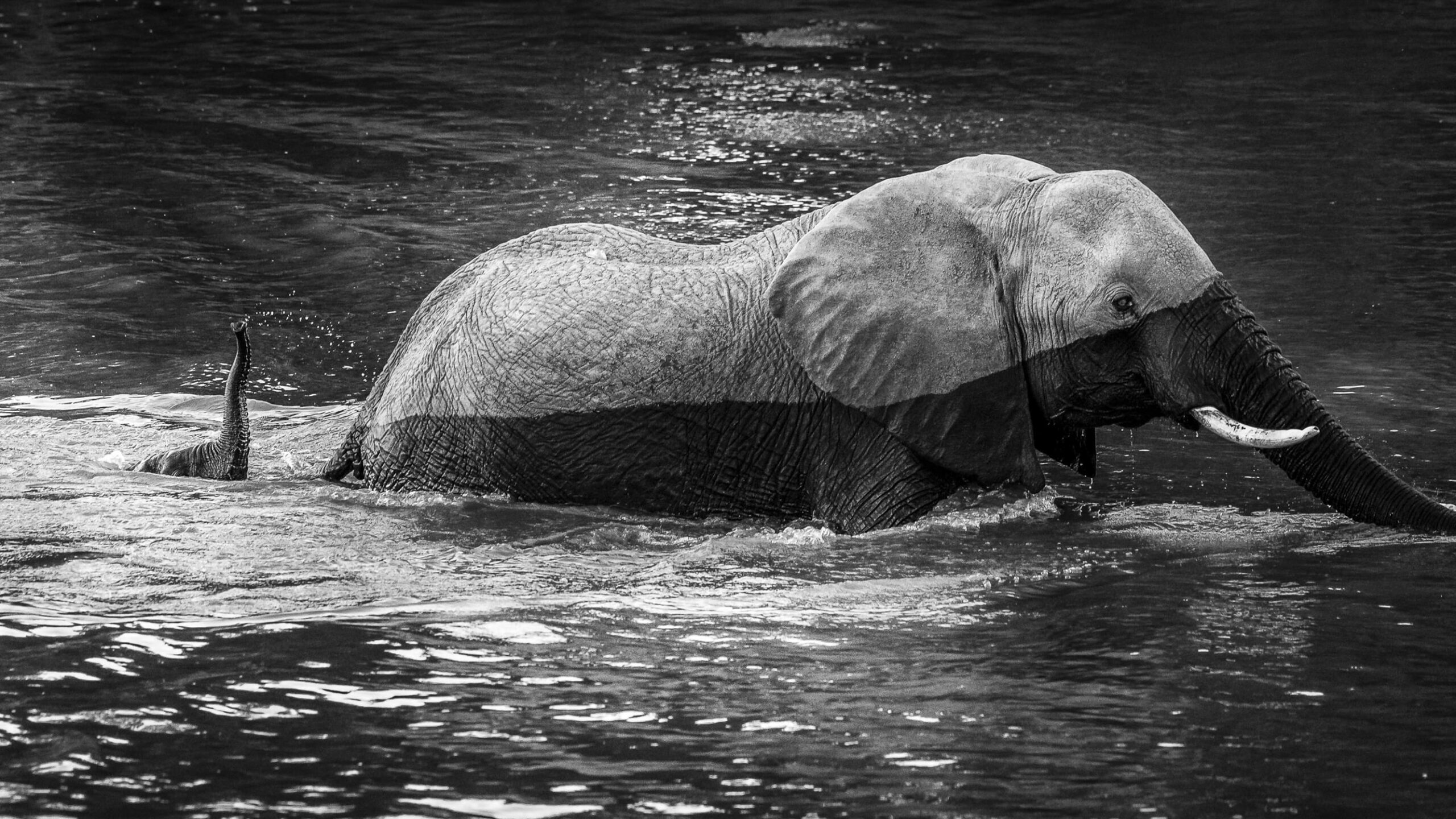 My first crossing. Kenya02 – Image 2