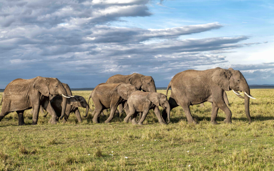 Botswana