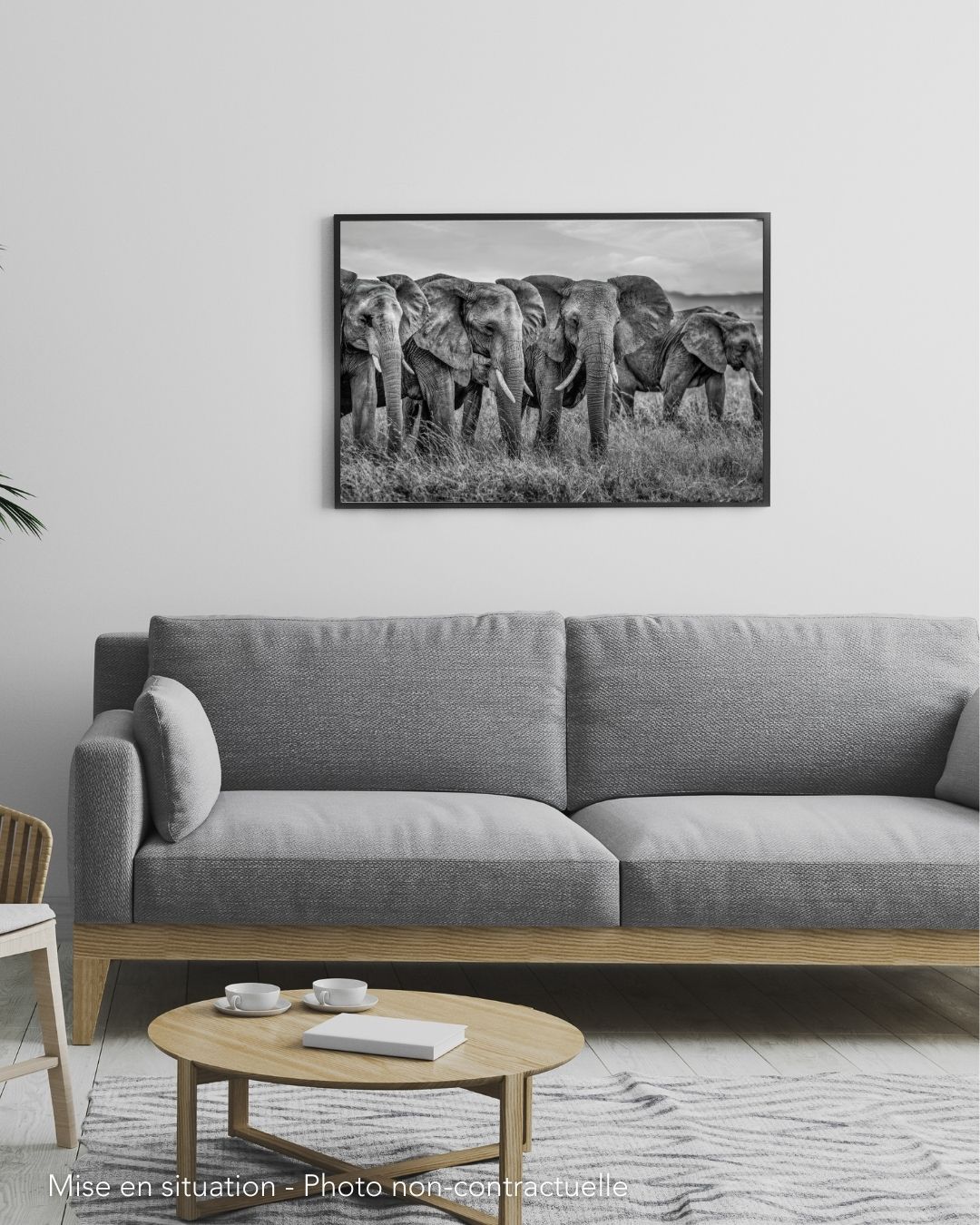 Alumni summit meeting. Elephants. Kenya – Image 3