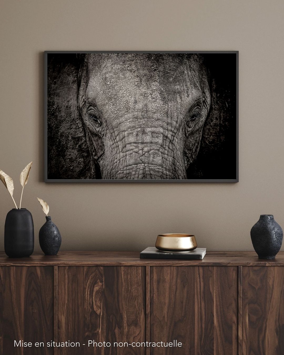Portrait of an elephant – Image 3