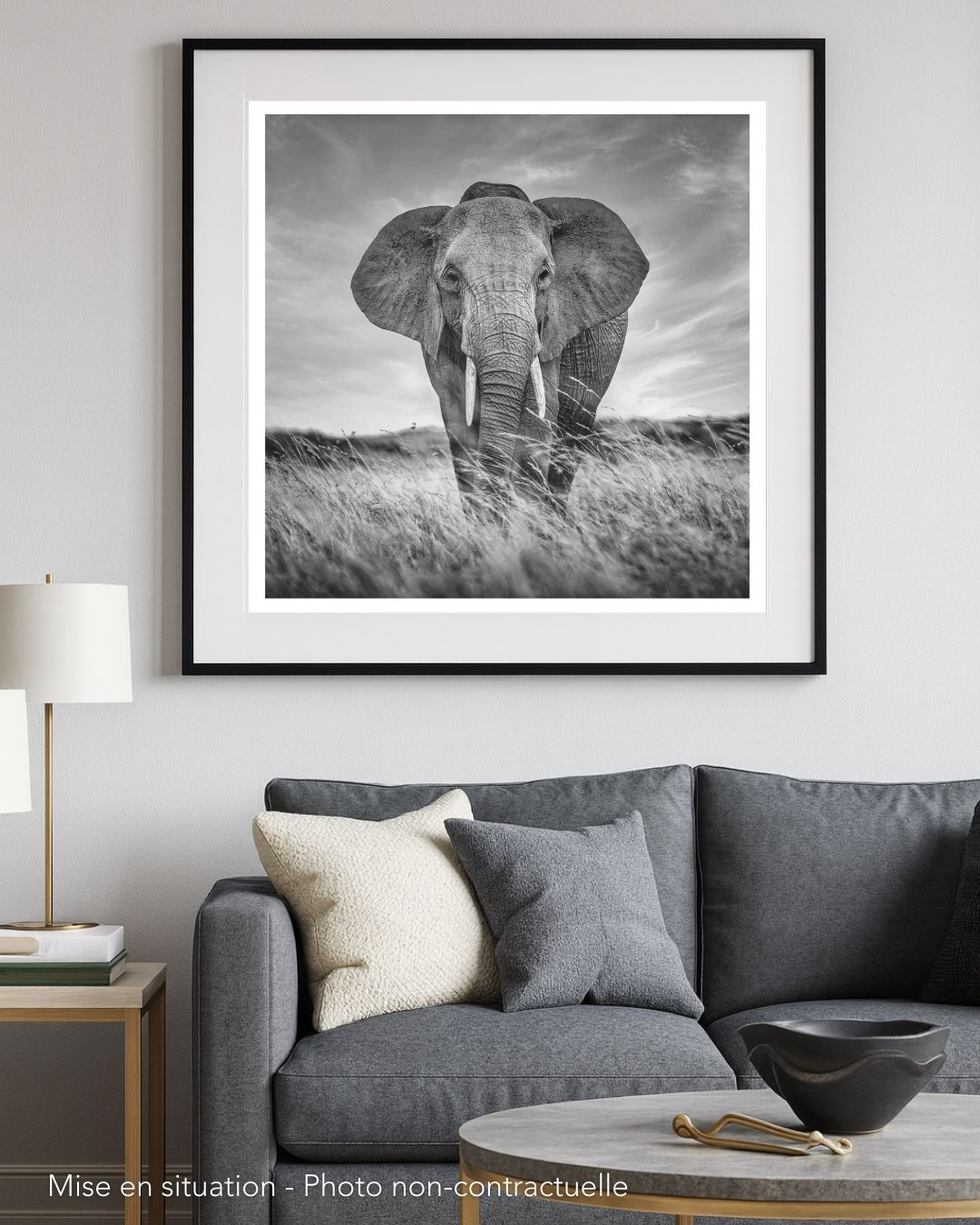 The African savannah B&W – Image 3