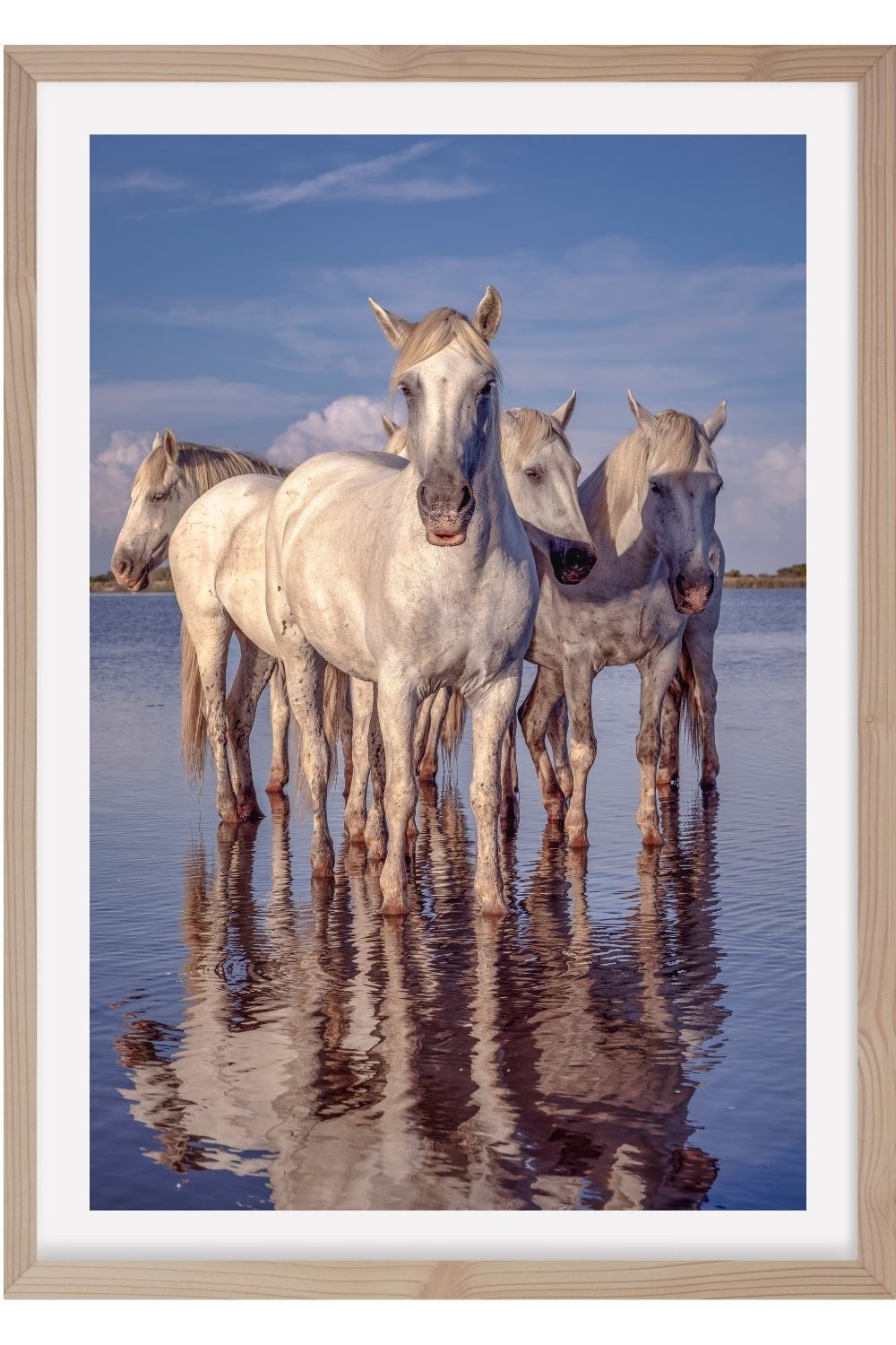 Camargue