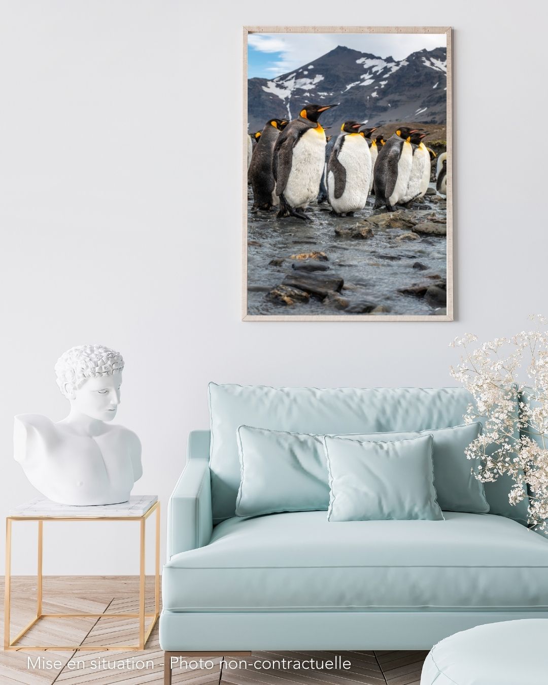Manchots Royaux. Salisbury. Georgie du Sud. Antarctique 2 – Image 3