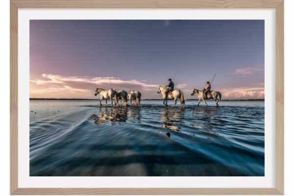 Journée en Camargue