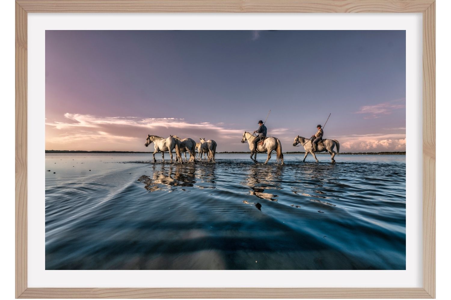 Journée en Camargue