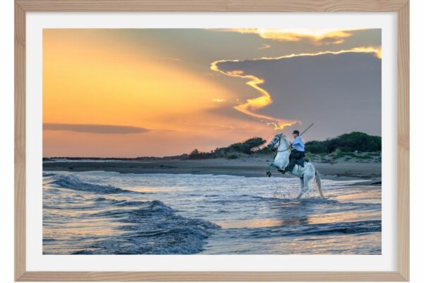 Mer et Cheval. Camargue