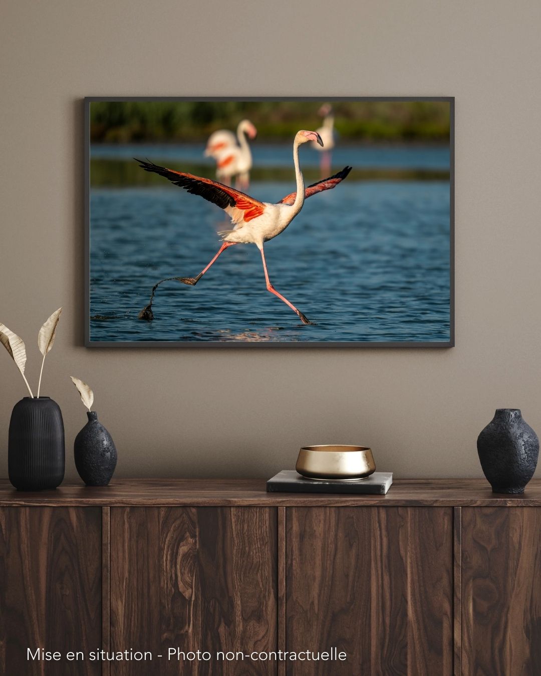 l'Envol. Flamants roses. Camargue. France – Image 2