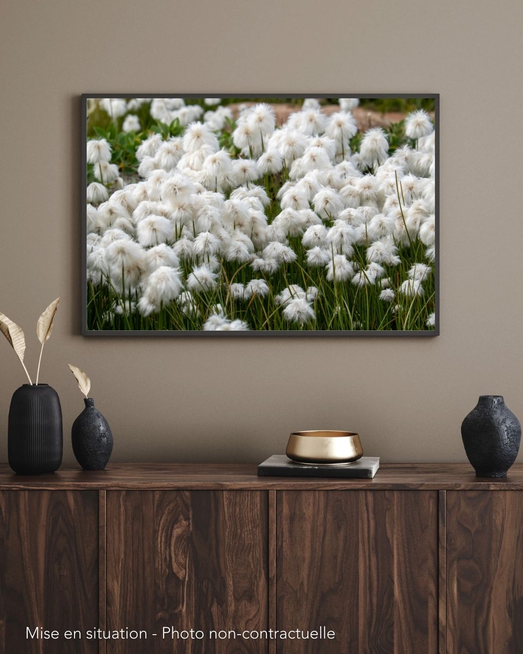 Groenland - Olivier Anrigo- Wildlife Interactions 5 – Image 2