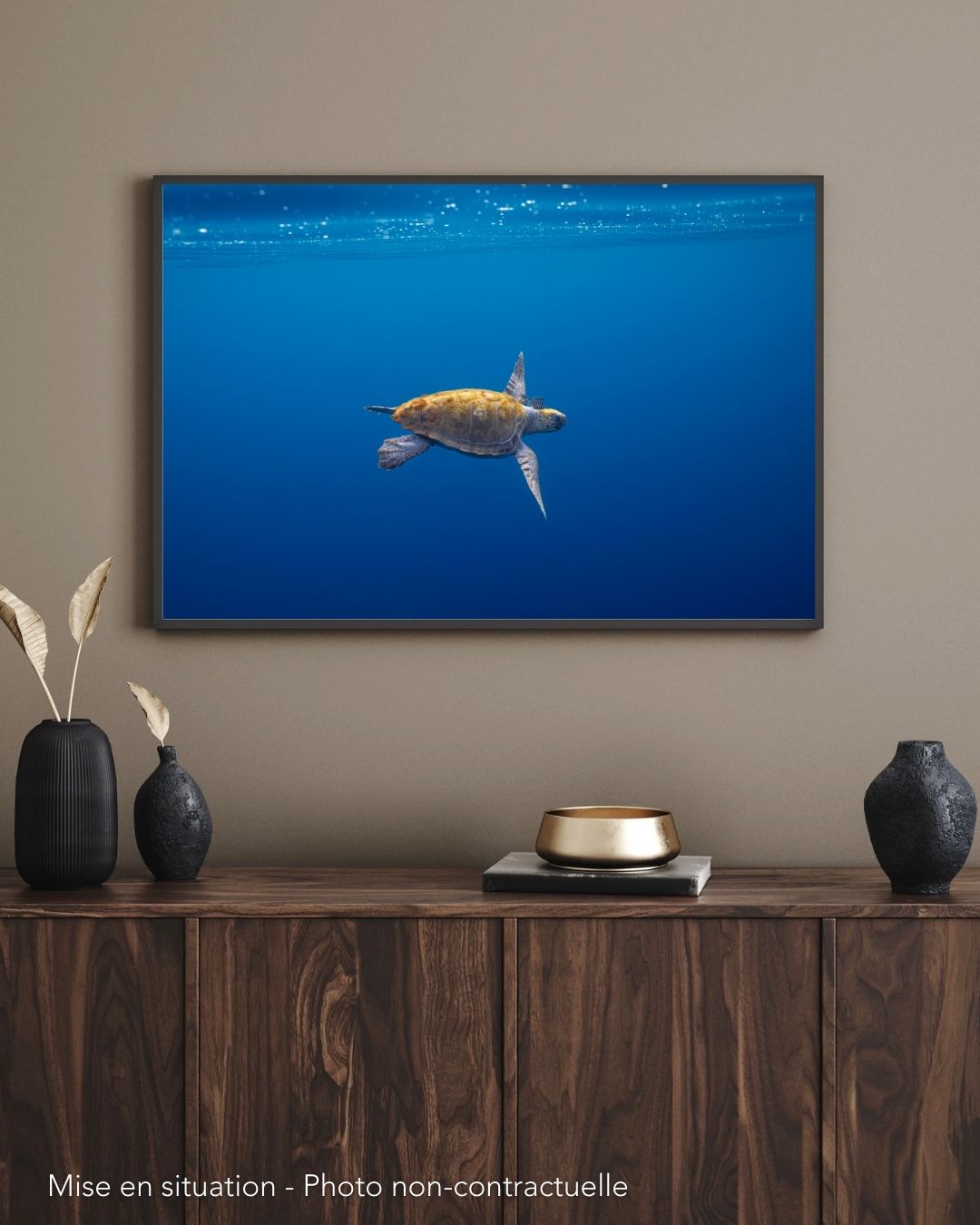 Liberté. Tortue Caouanne. Méditerranée – Image 2