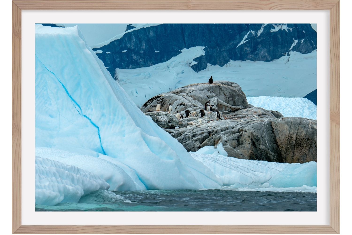 Ile Petermann. Antarctique