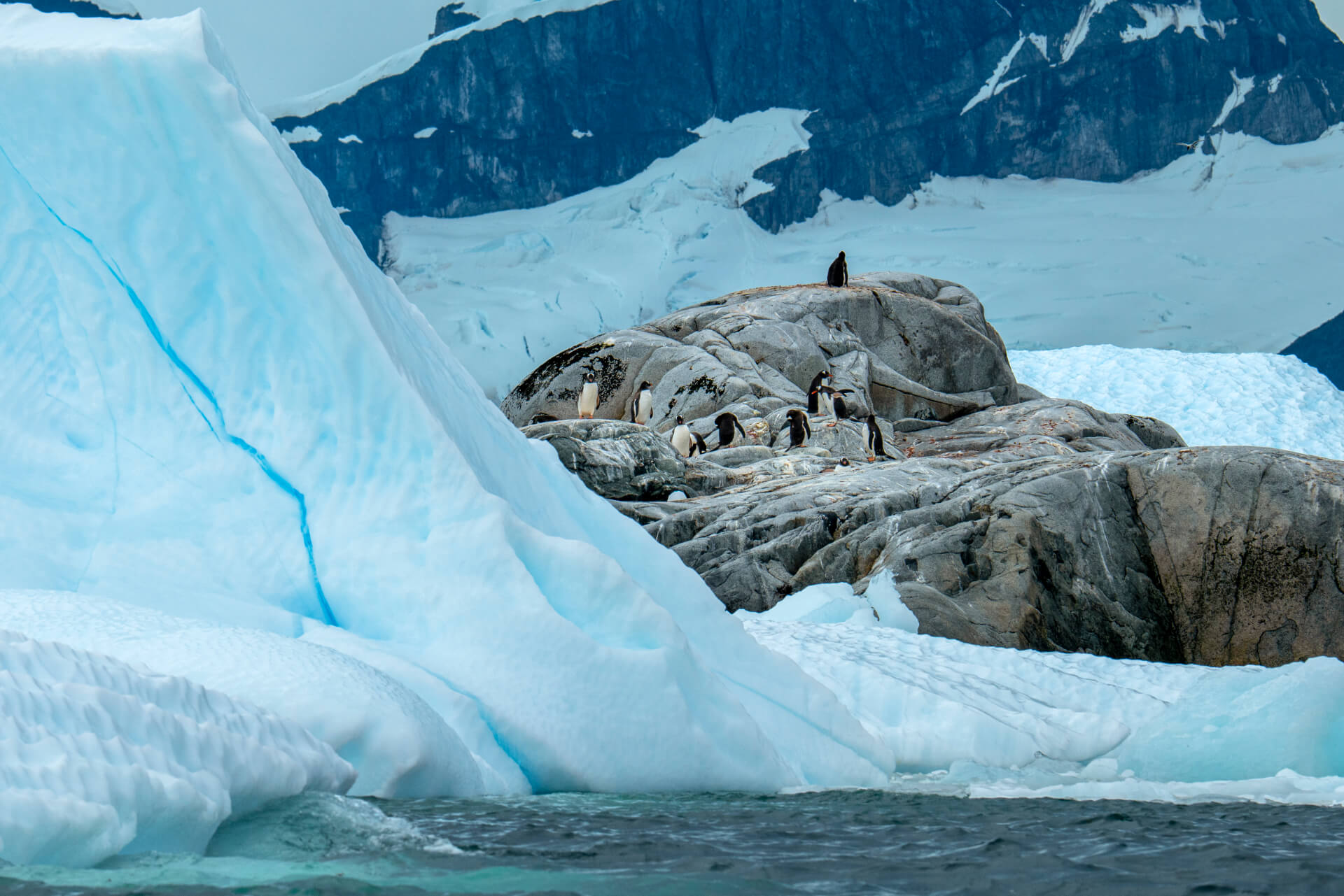 Ile Petermann. Antarctique – Image 3