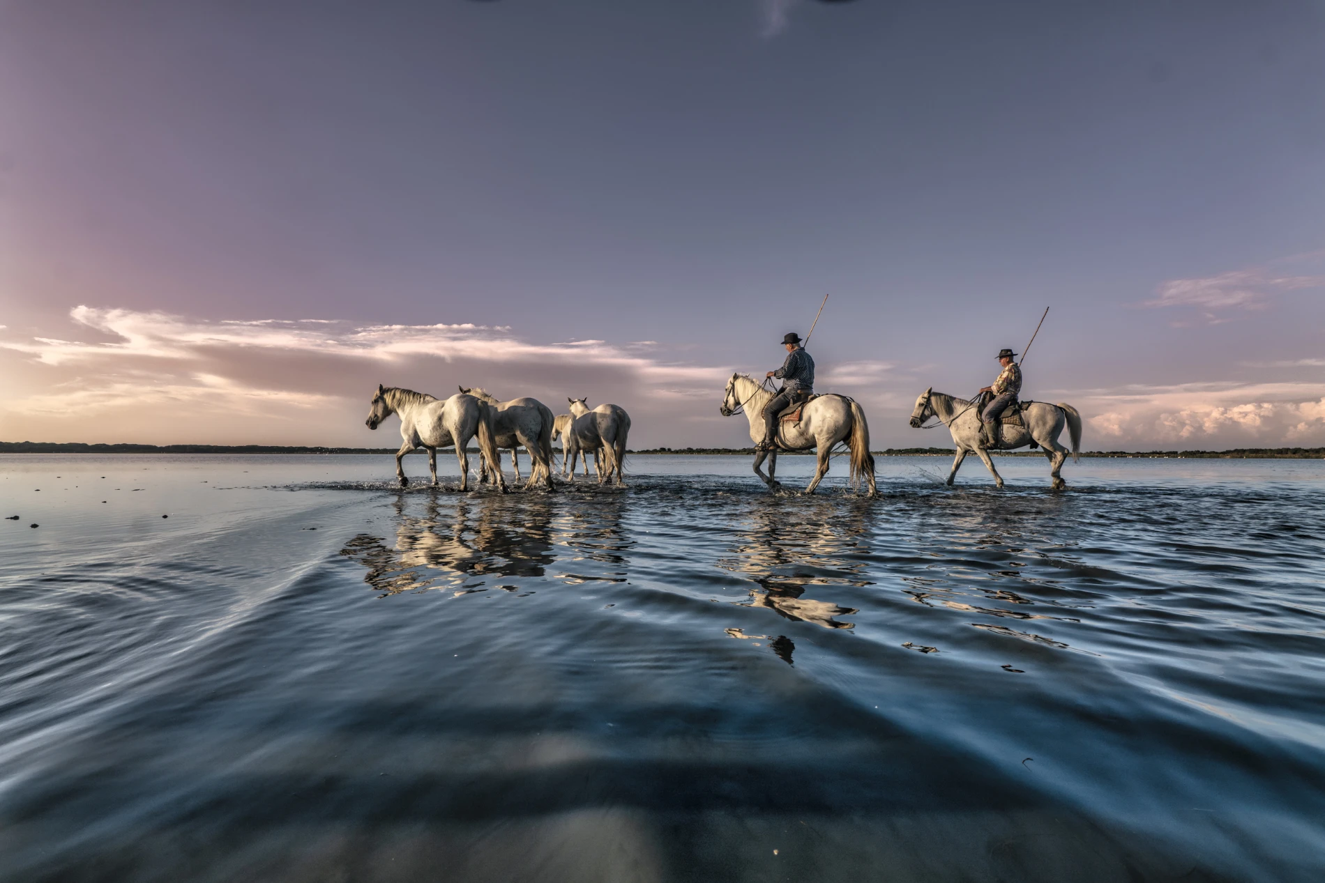 Journée en Camargue – Image 3