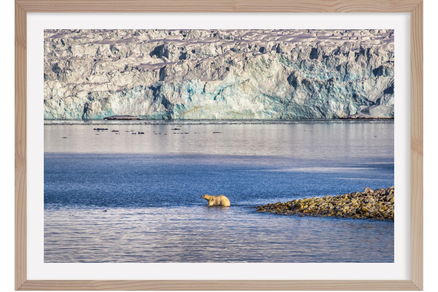 Wildlife-Interactions @Olivier Anrigo-59