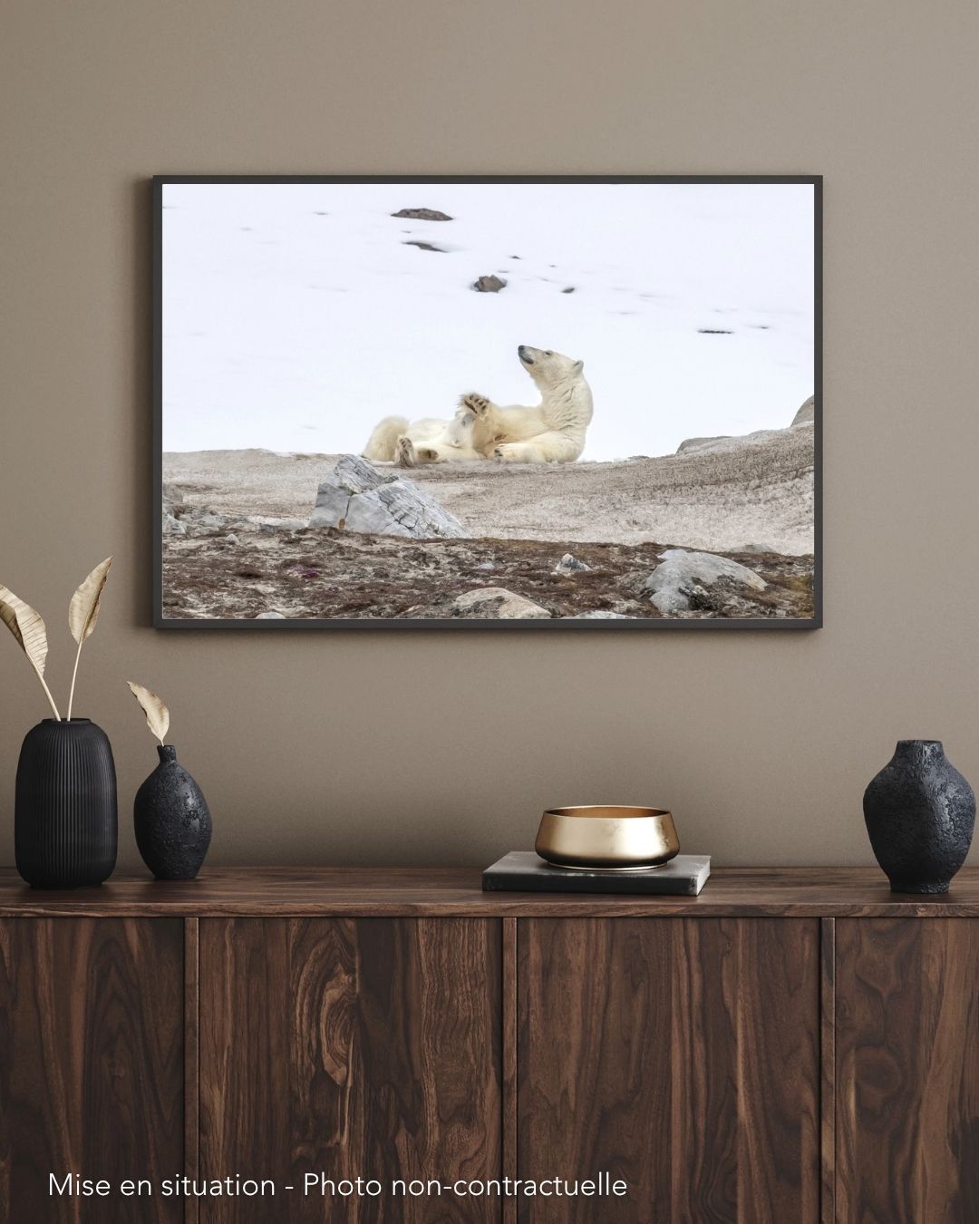 L'insouciance. Maman ours. Spitzberg – Image 2