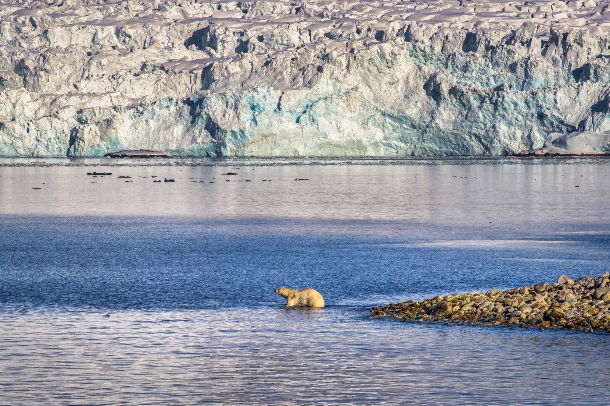 Wildlife-Interactions @Olivier Anrigo-59 – Image 3